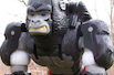 Beast Wars Optimus Primal