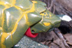 Beast Wars Snapper