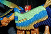 Beast Machines Airraptor