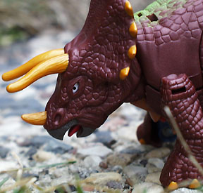 triceradon4.jpg (34624 bytes)
