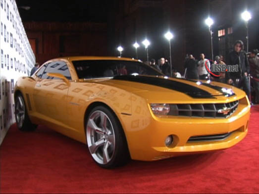 bumblebee3tag
