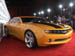 bumblebee3tag